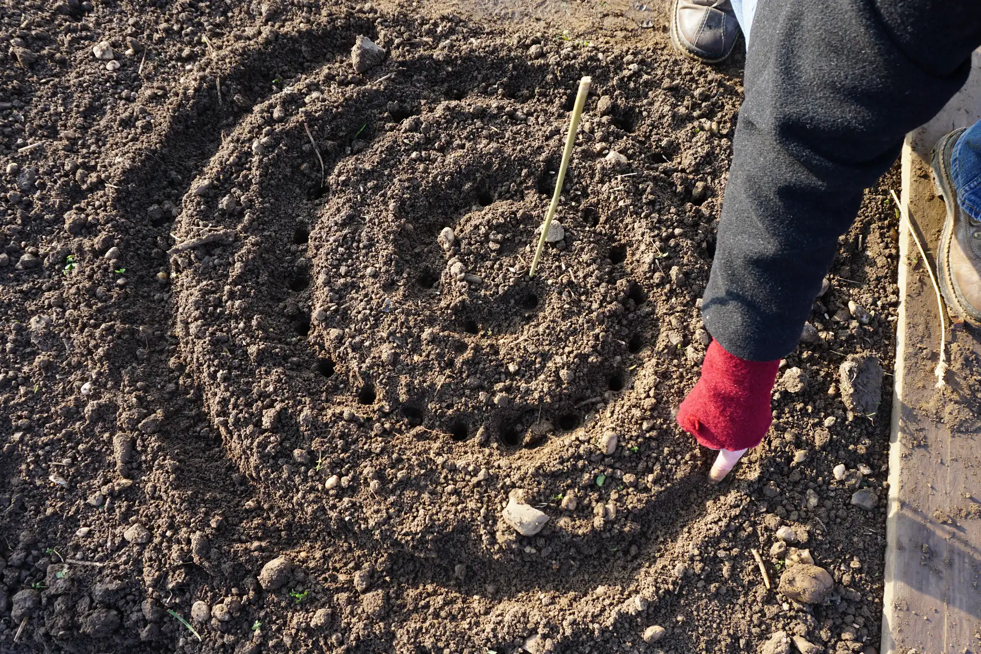 Getreidespirale säen bei der Winterführung von Jedem Hof sein Korn auf Haus Bollheim
